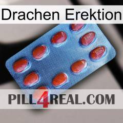 Dragon Erection 06